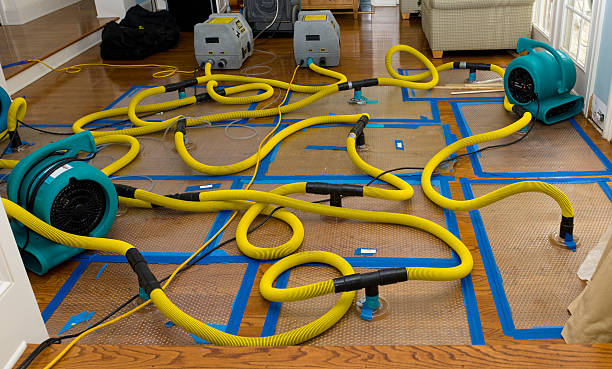 Professional Storm Water Damage Restoration technician working in Pitcairn, PA